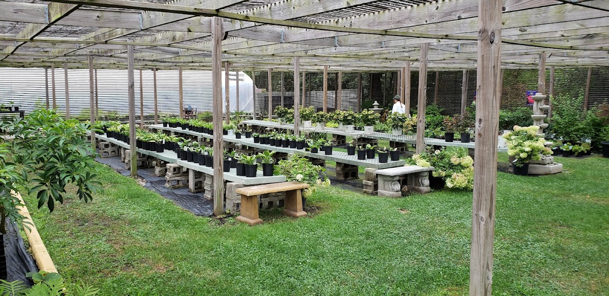 Long benches of plants under the Ozark Nursery shade house